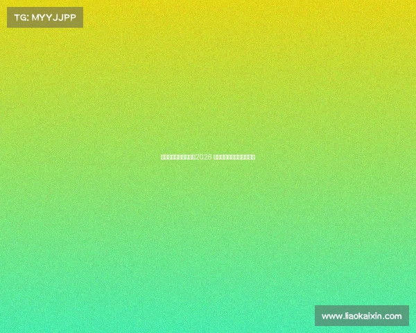 美国队的远大愿景超越2026 聚焦更长远的全球足球目标